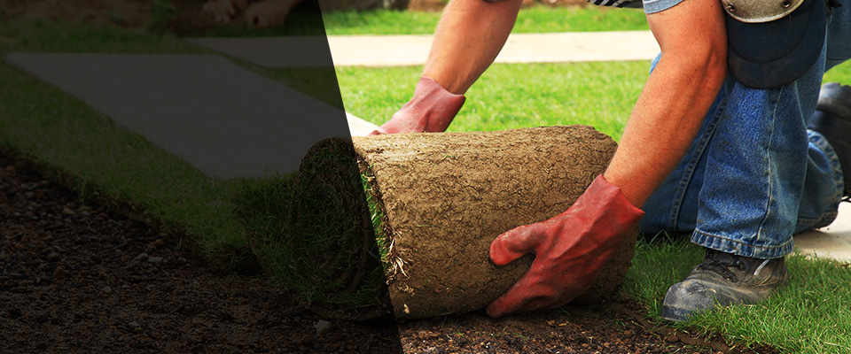 Southport Landscapers